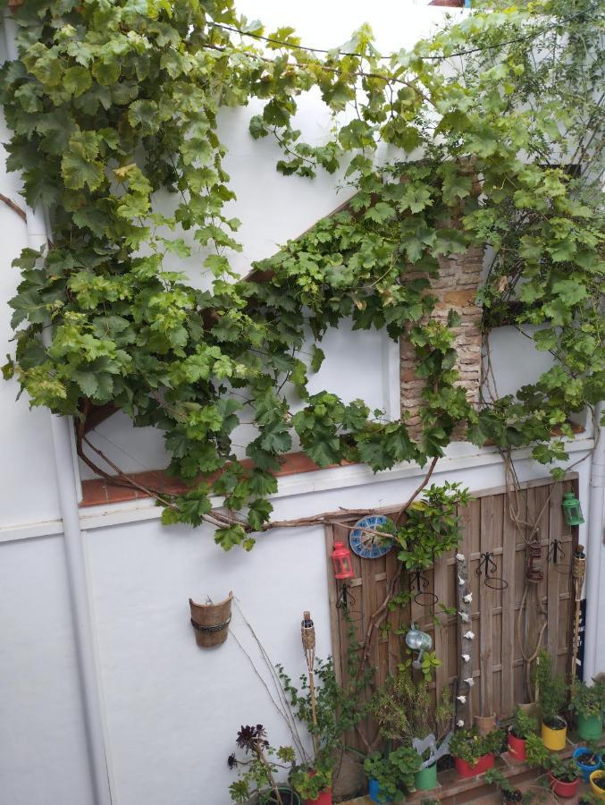 Apartamento Eg17 Arcos de la Frontera Exteriör bild